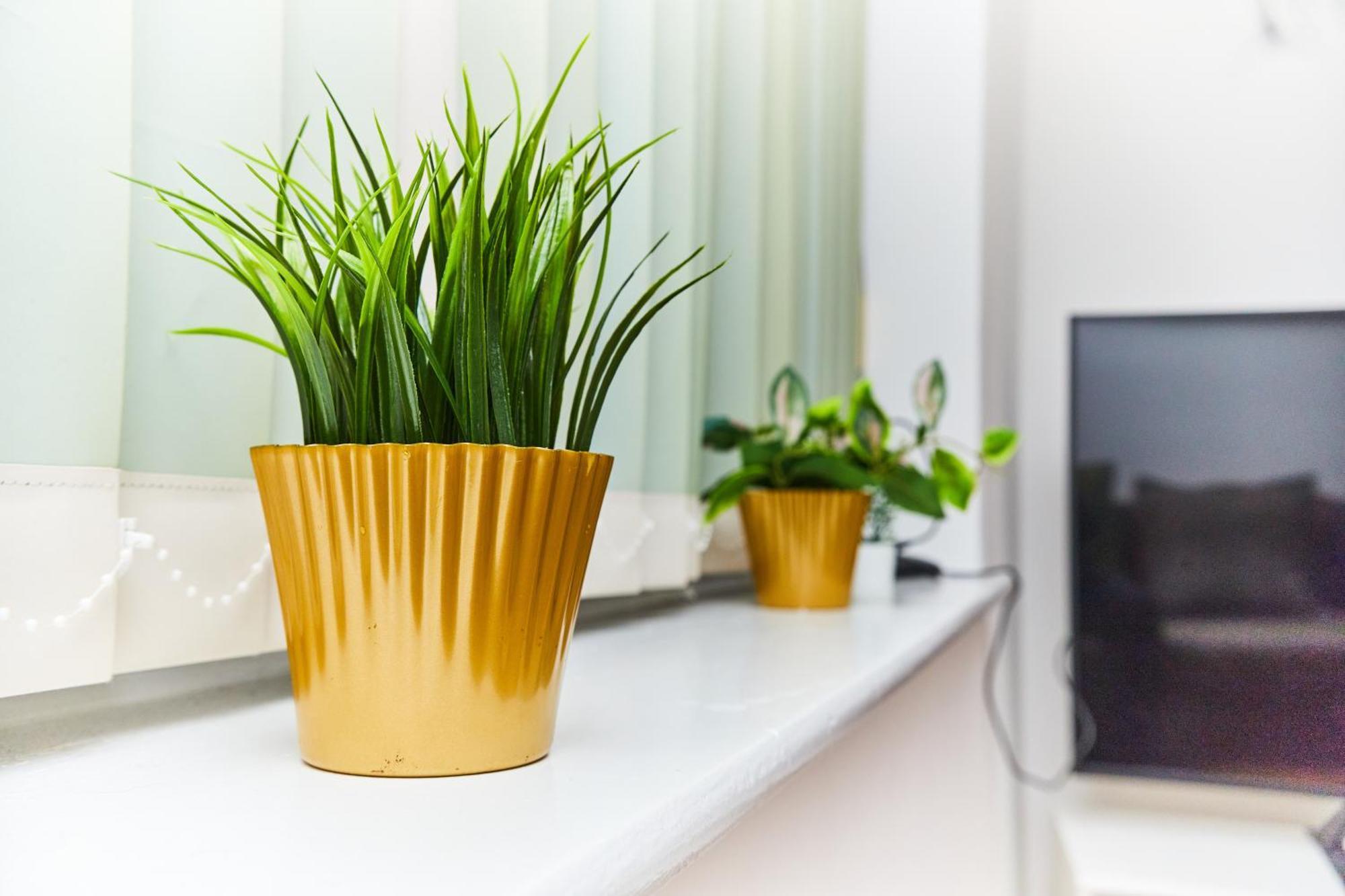 Emerald Apartments A Star Proximity Londyn Zewnętrze zdjęcie
