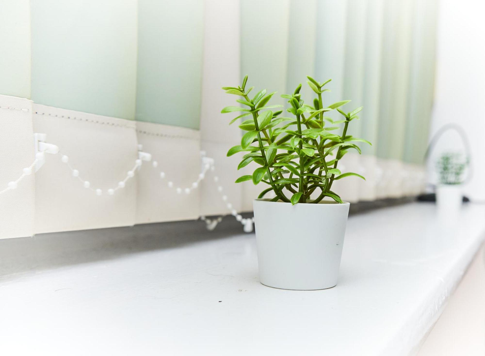 Emerald Apartments A Star Proximity Londyn Zewnętrze zdjęcie